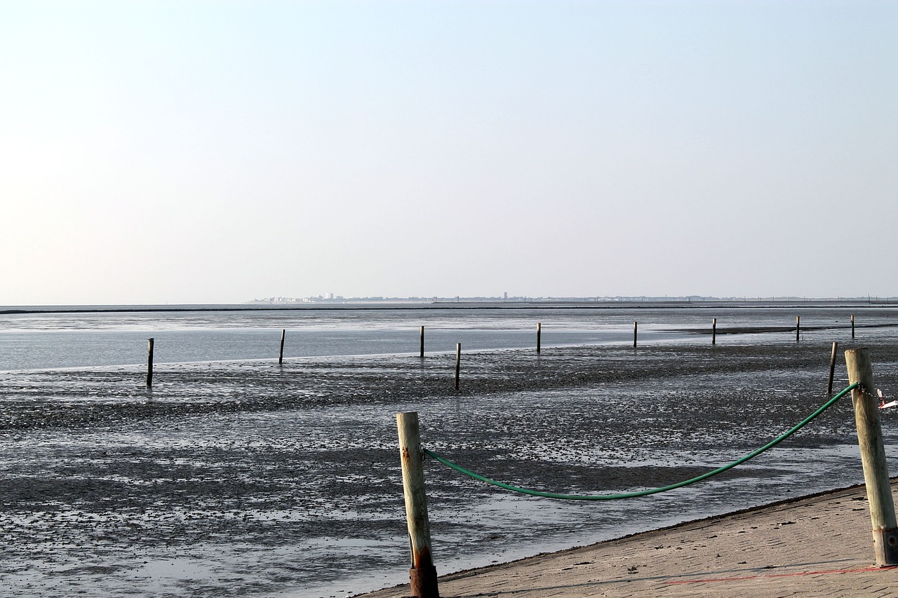 breakwater north sea tides free photo