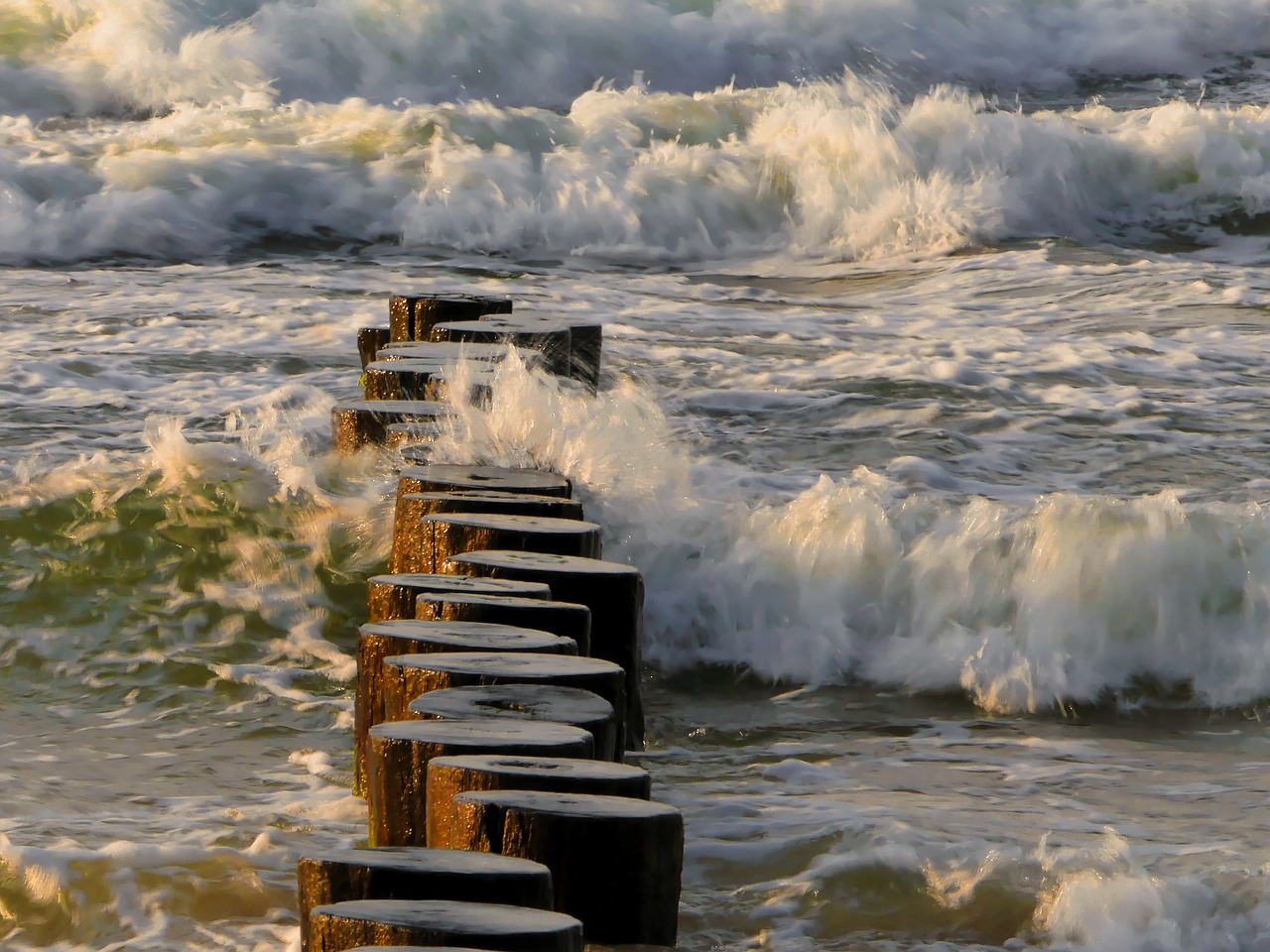 breakwater  wave  sea free photo