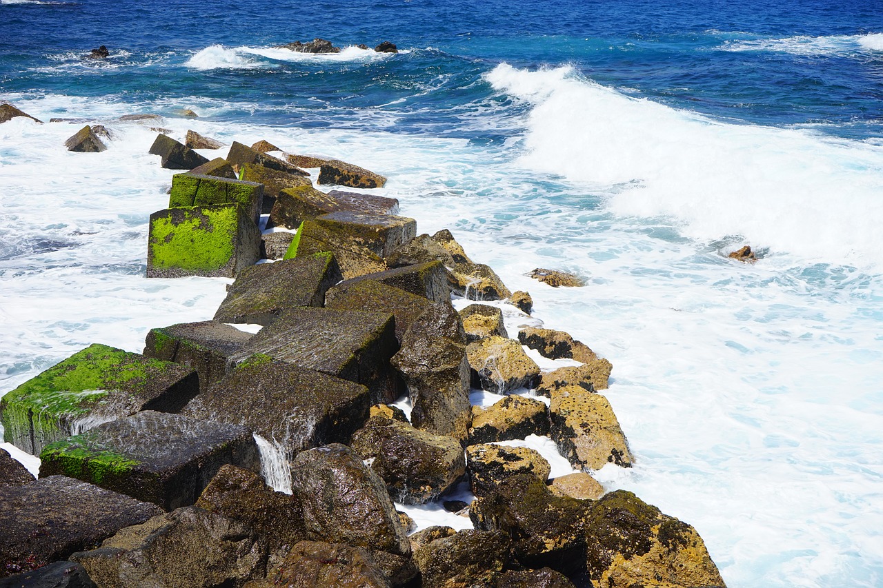 breakwater wave sea free photo