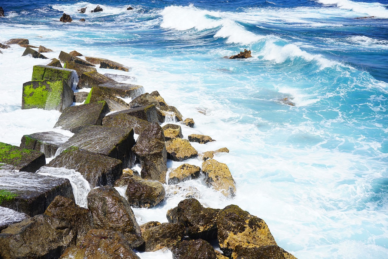 breakwater wave sea free photo