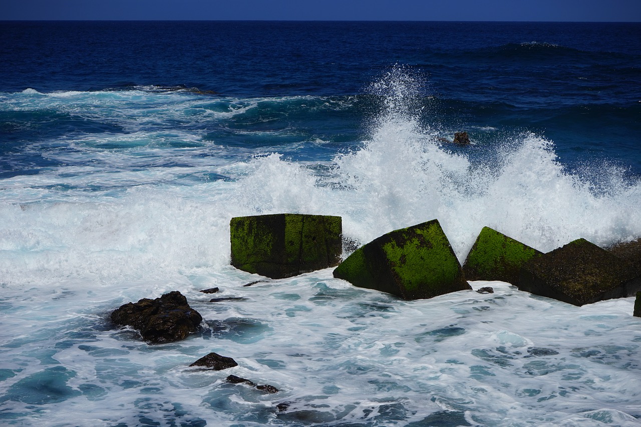 breakwater wave sea free photo