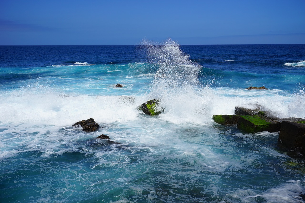 breakwater wave sea free photo