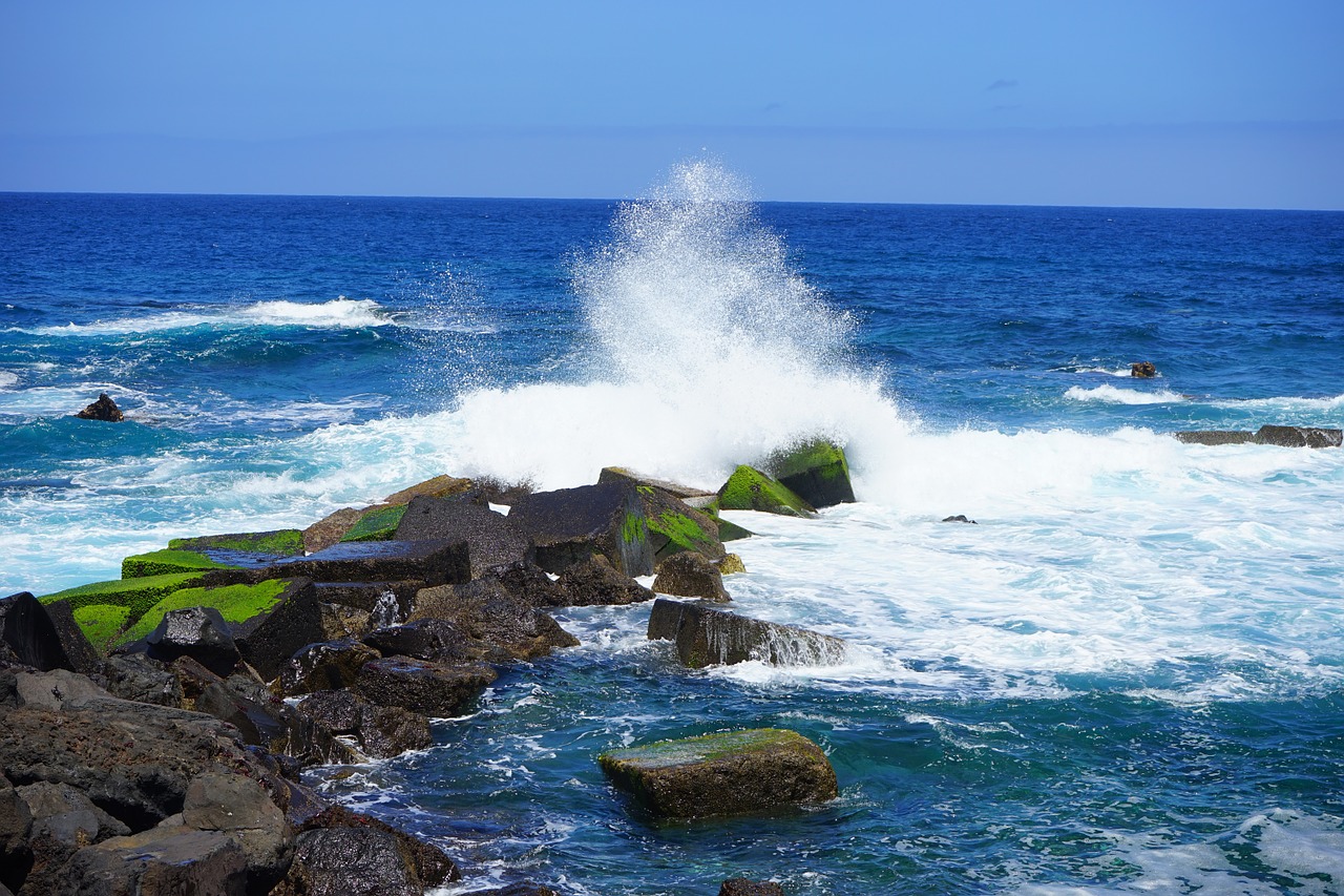 breakwater wave sea free photo