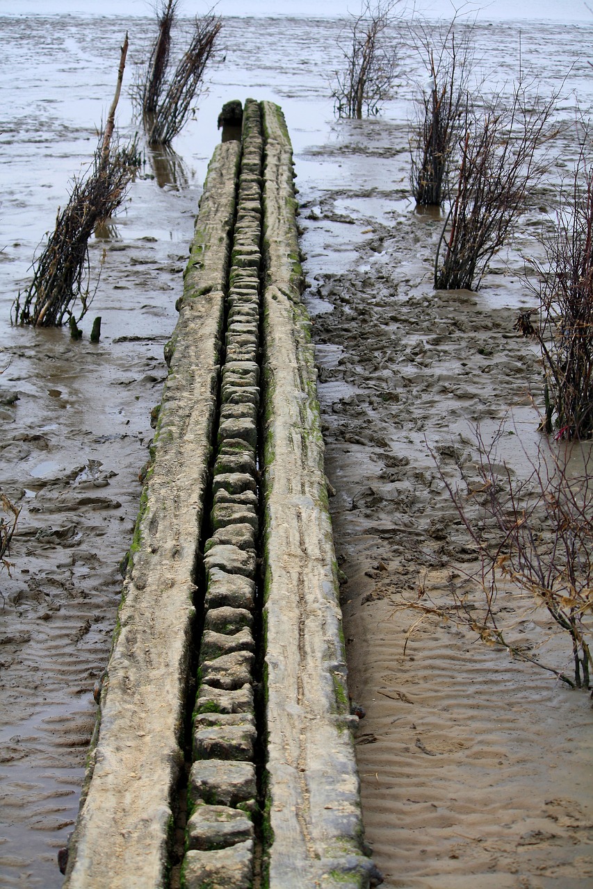 breakwater plank watts free photo