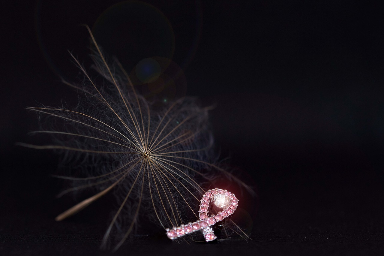 breast cancer pink dandelion free photo