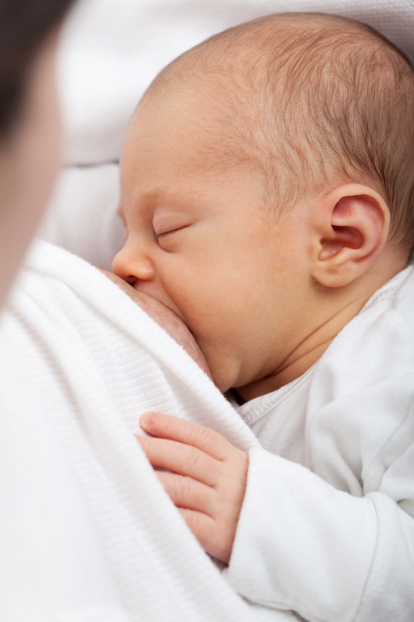 baby breast breastfeeding free photo