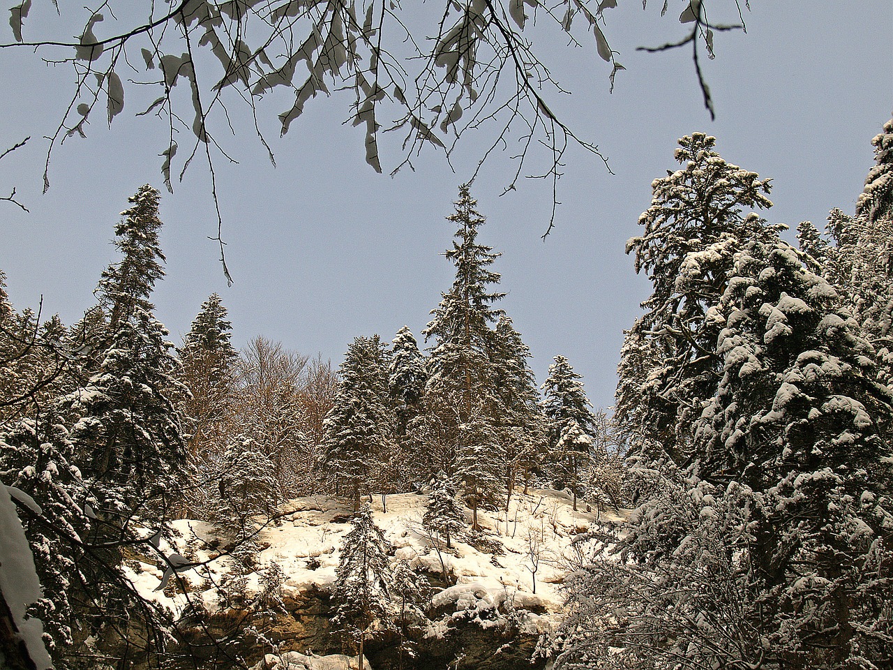breitachklamm near oberstdorf winter frost free photo