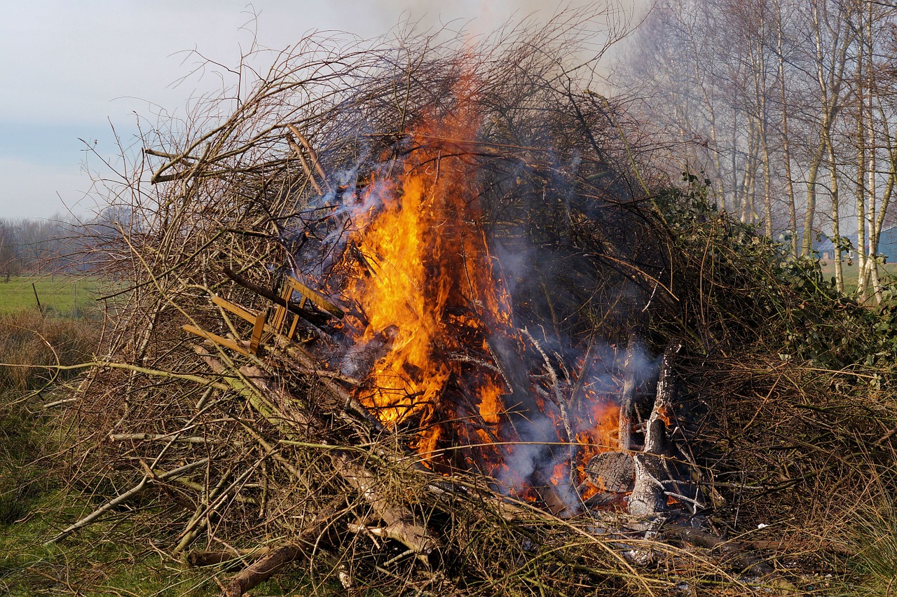 brenntag east frisia smoke free photo