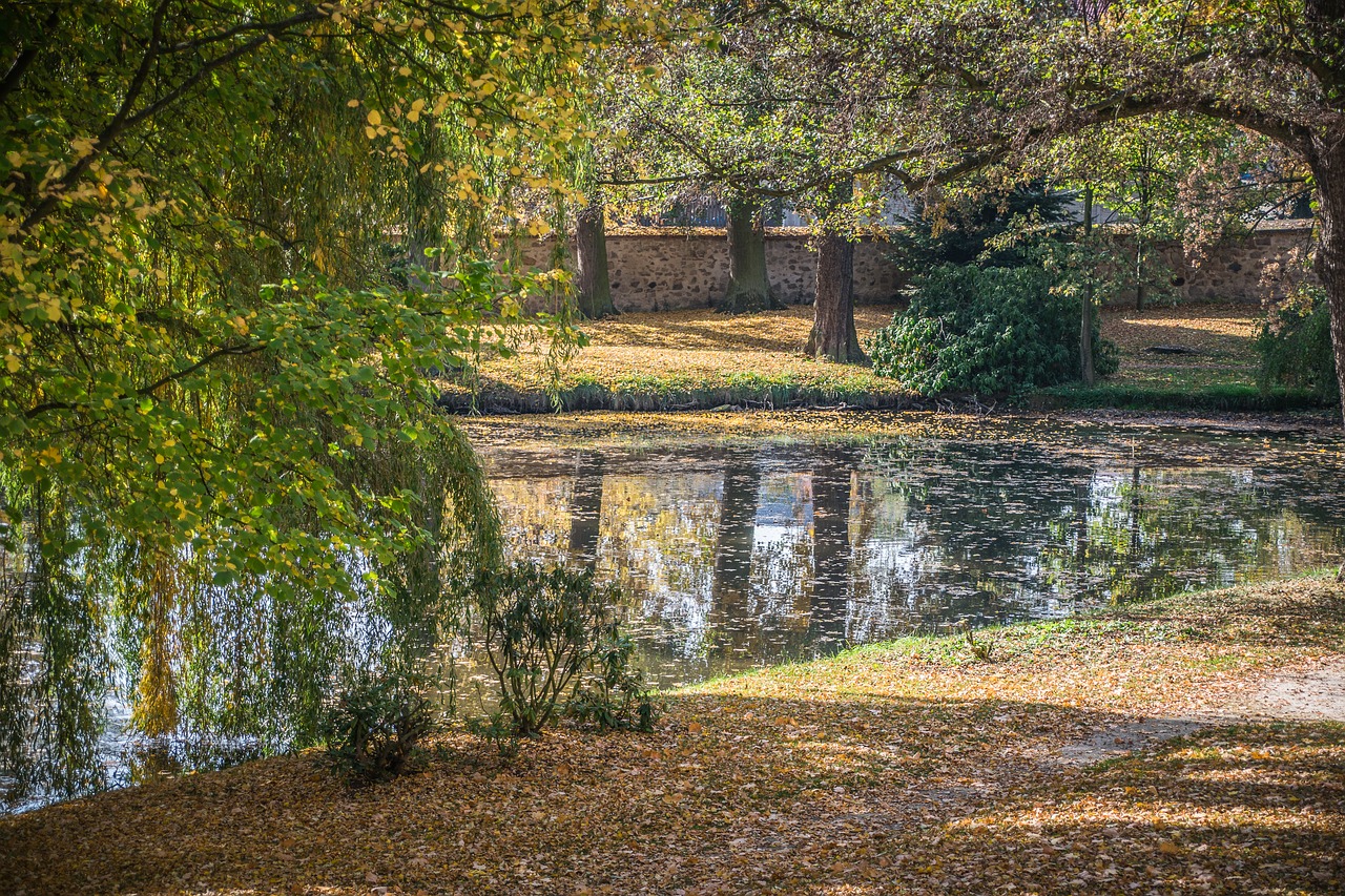 březnice  castle  park free photo