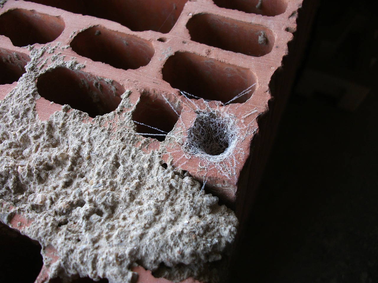 brick web construction free photo