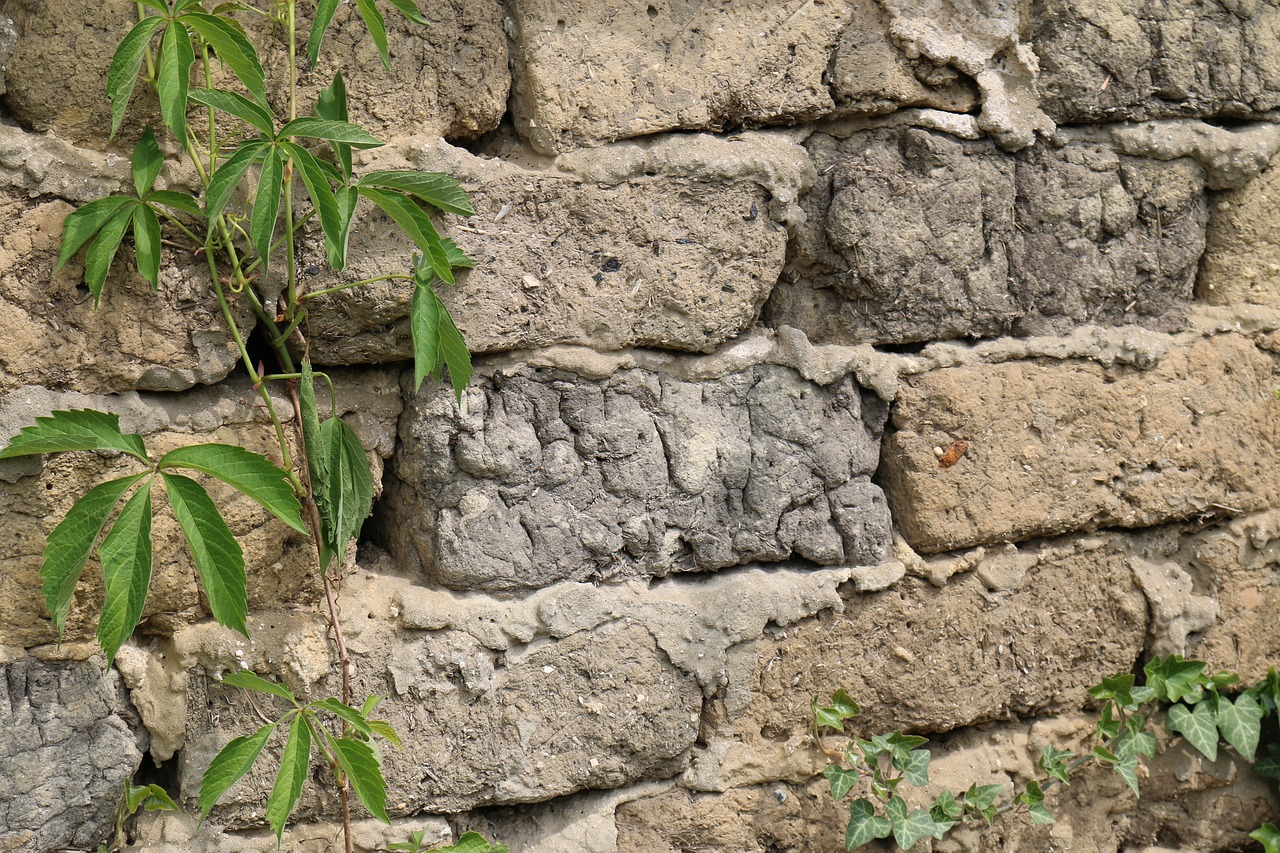 brick green leaf free photo