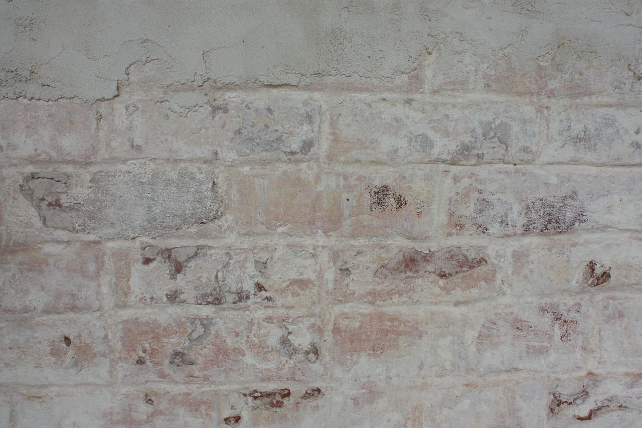 brick whitewashed wall free photo