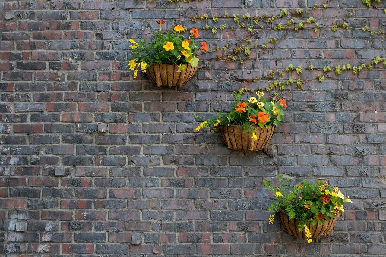 brick  wall  stone free photo