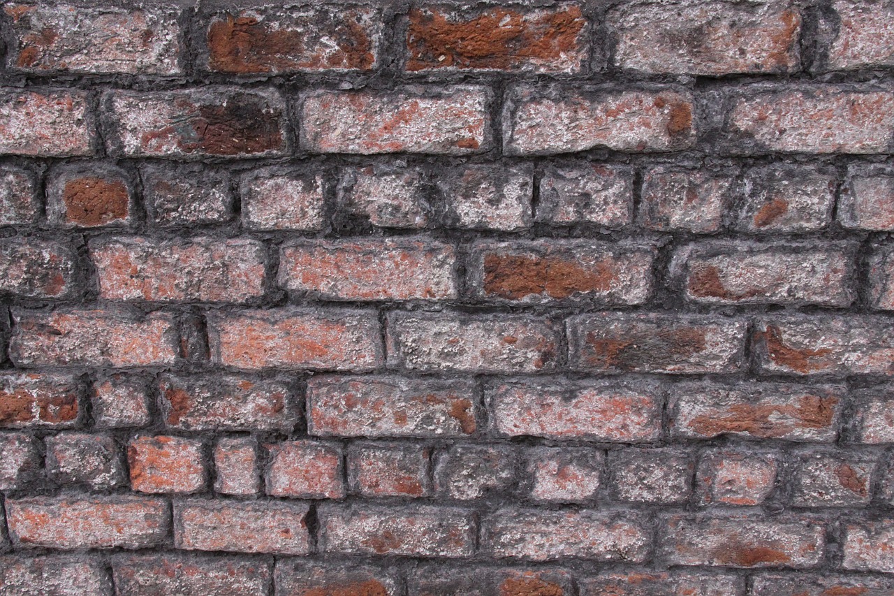 brick  wall  stone free photo