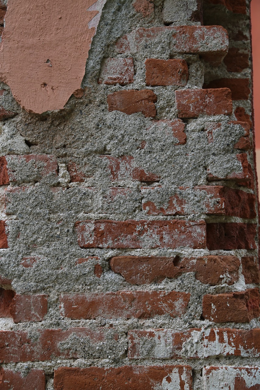 brick  exposed  cement free photo