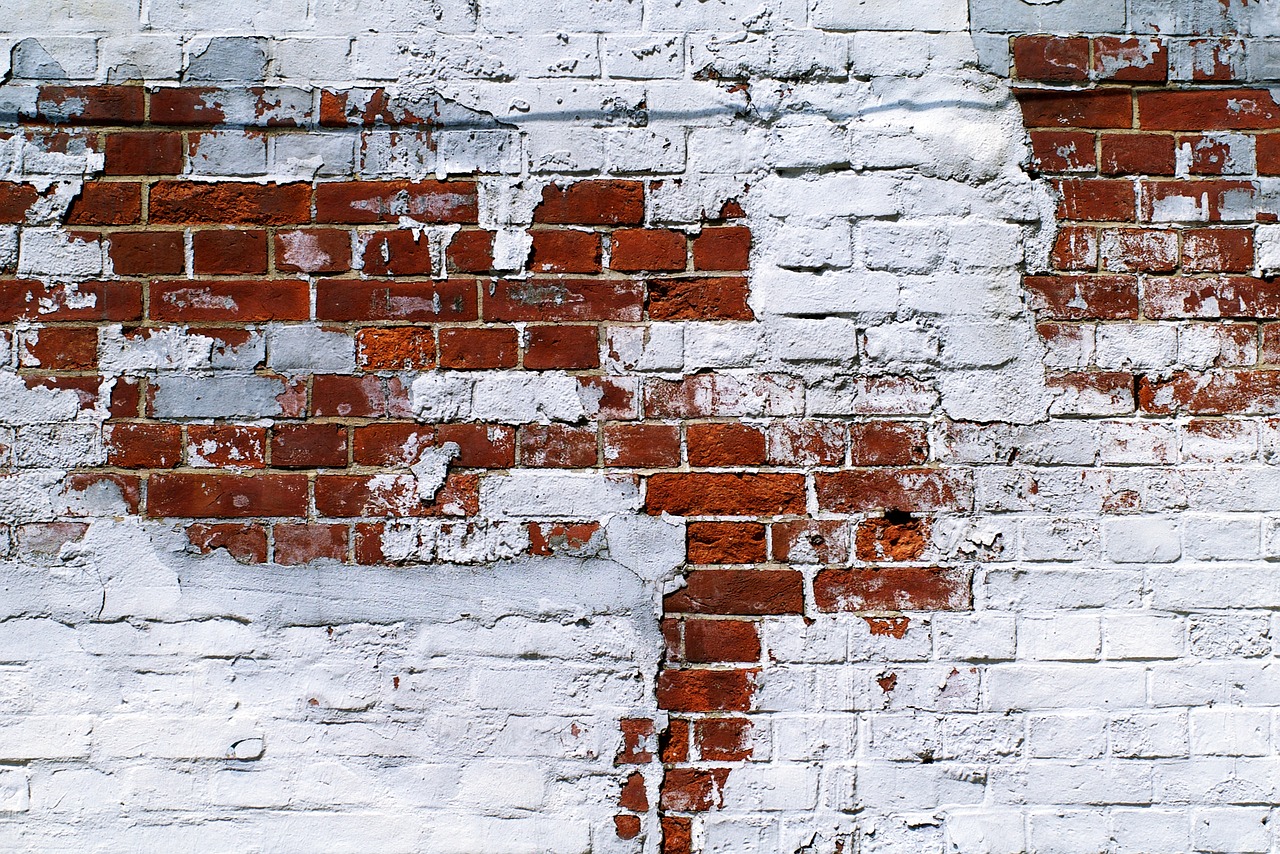 brick  wall  brick wall free photo