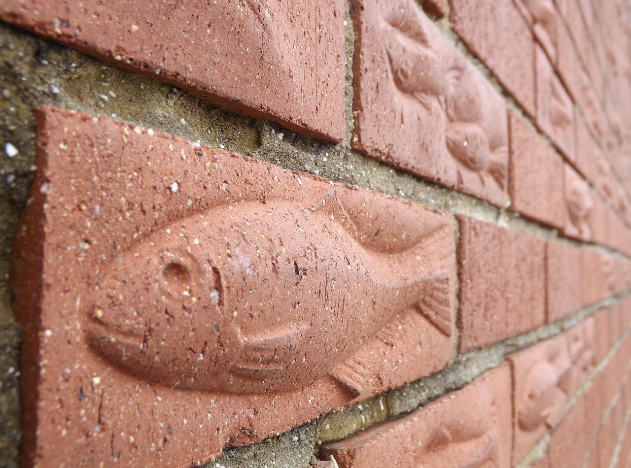 brick  wall  fish free photo