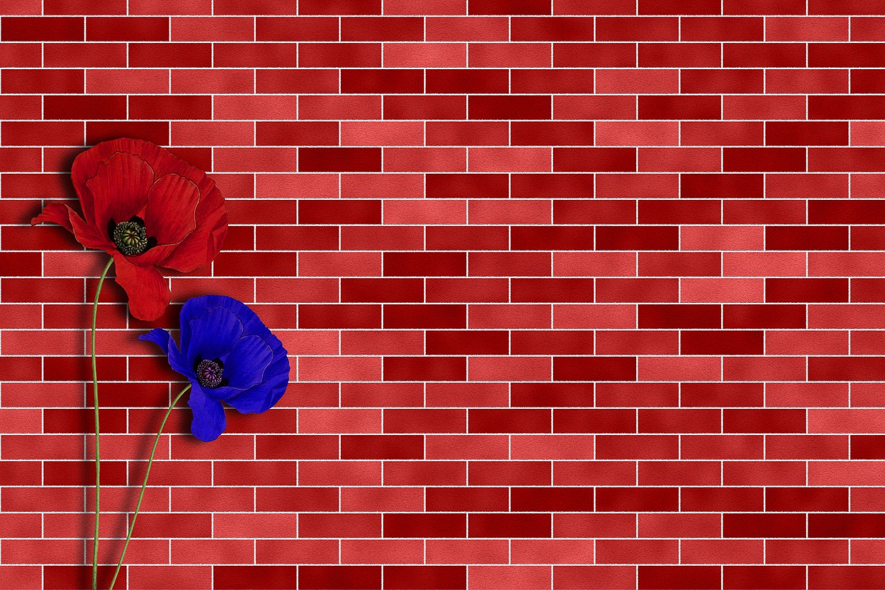 brick  wall  red free photo