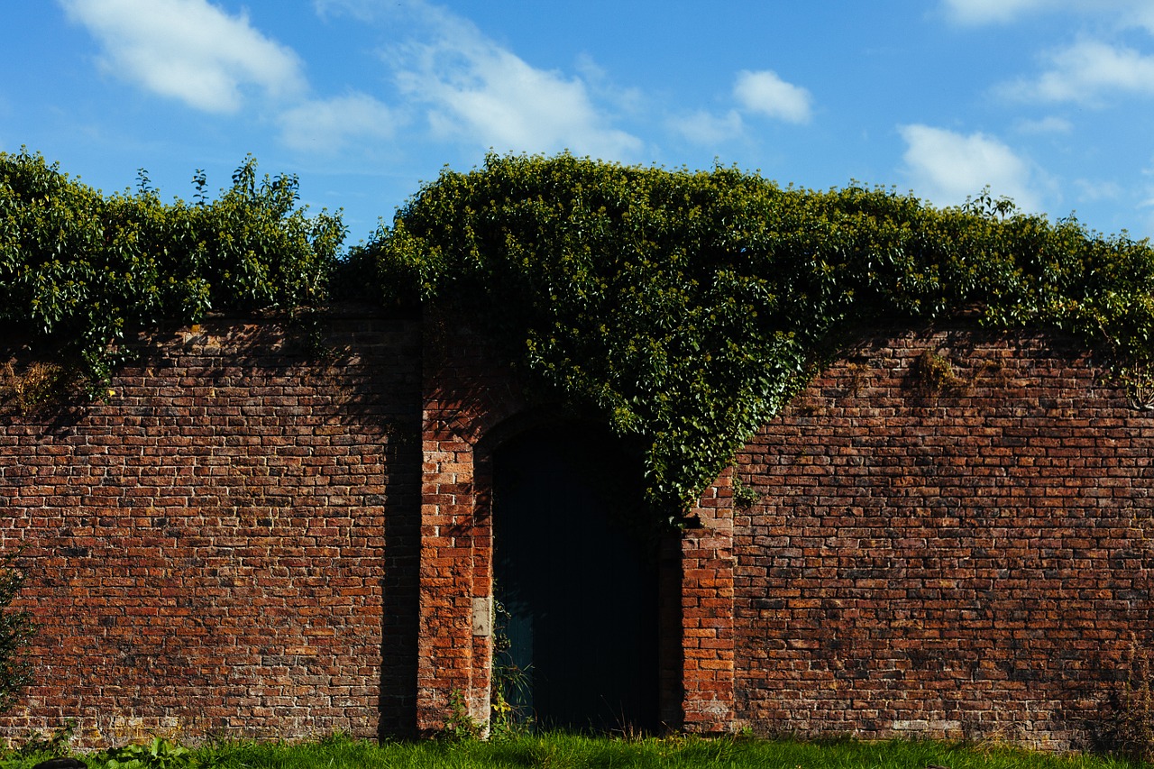 brick wall green free photo