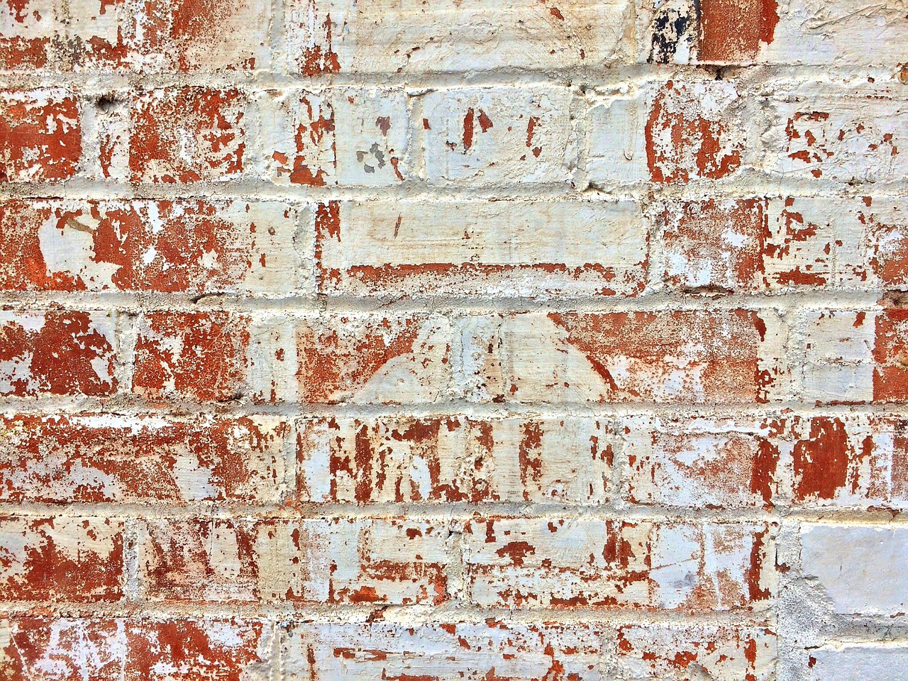 brick wall aged free photo