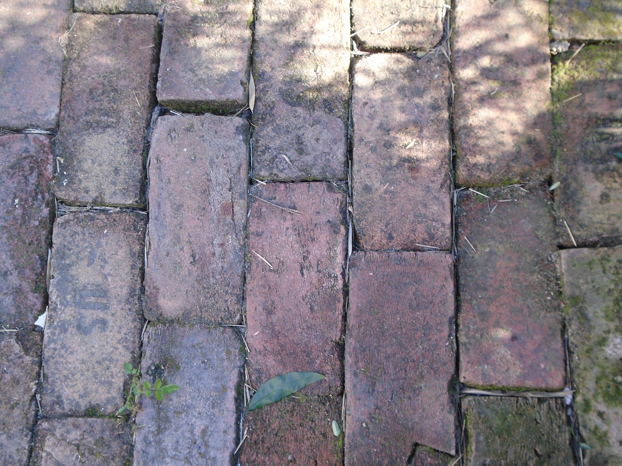 brick pavement old free photo