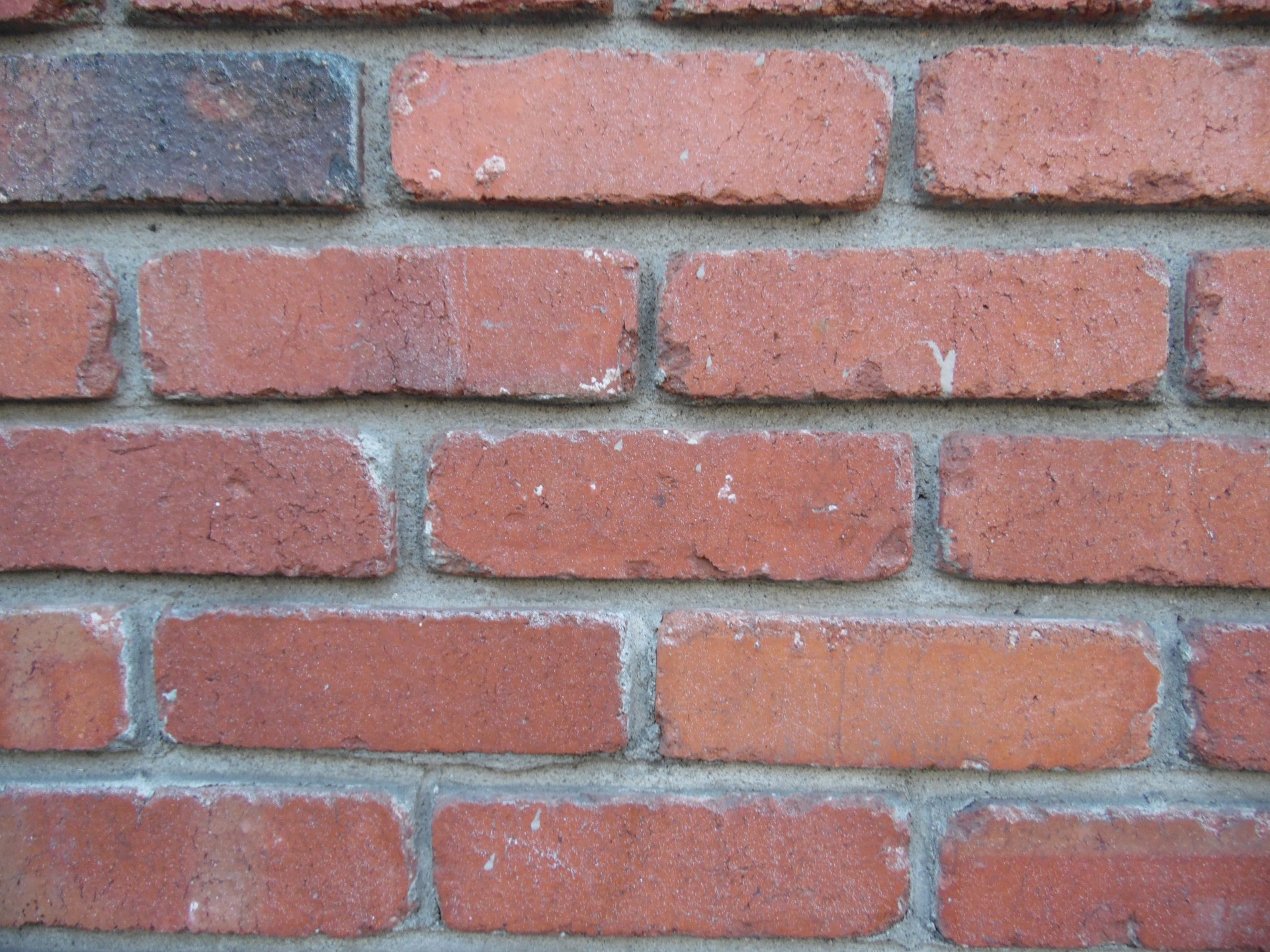 bricks texture brick building free photo