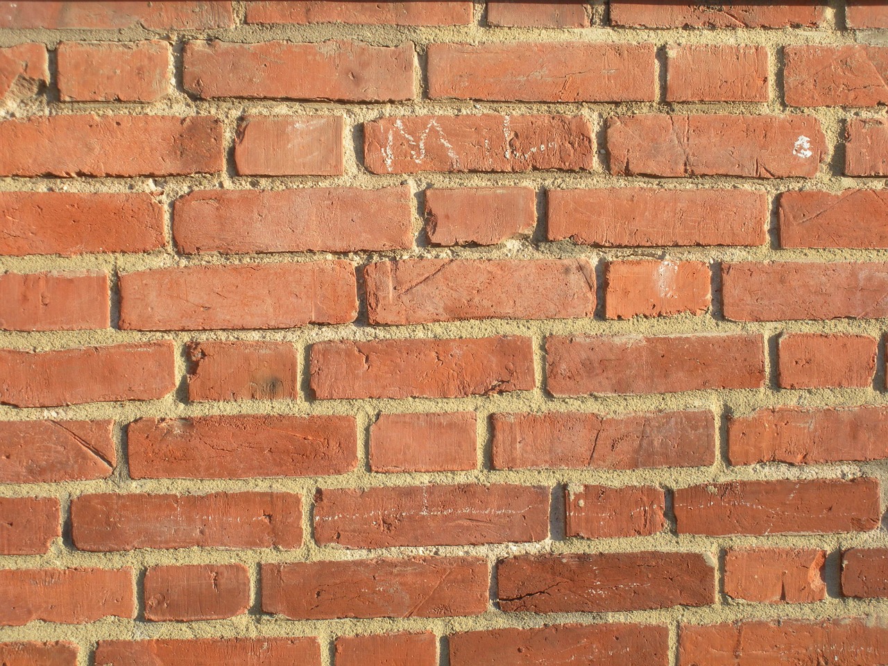 brick wall brick brick red free photo