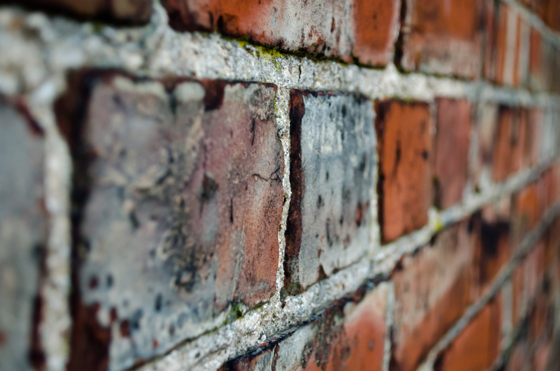brick wall architecture free photo
