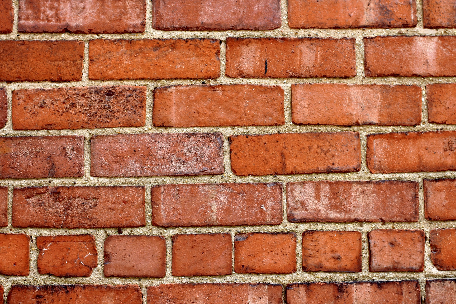 bricks wall brick wall free photo