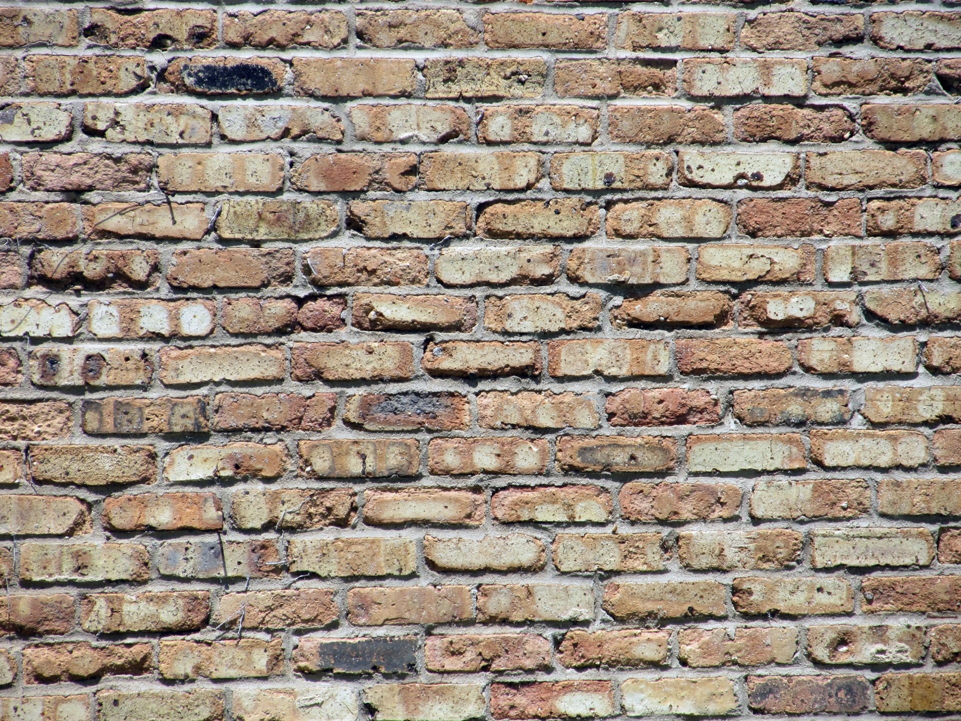 brick wall background texture free photo