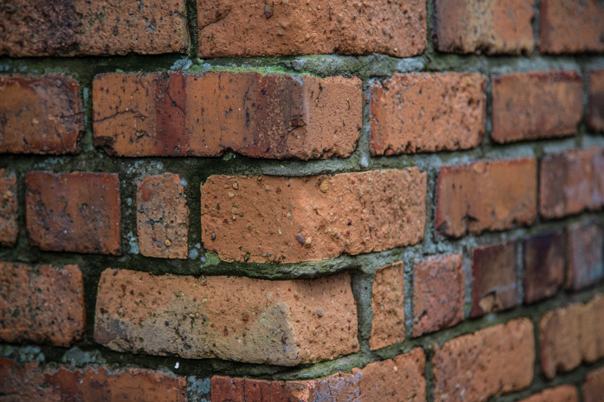 bricks wall backgrounds free photo