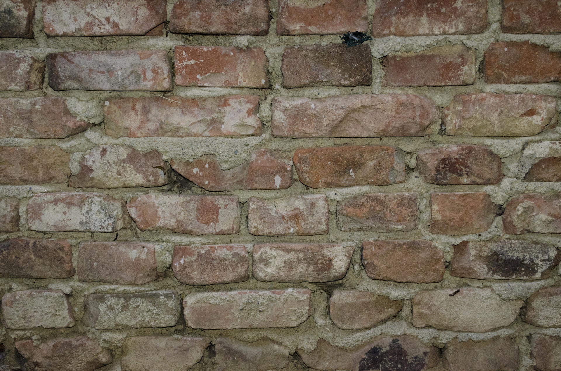 bricks wall backgrounds free photo