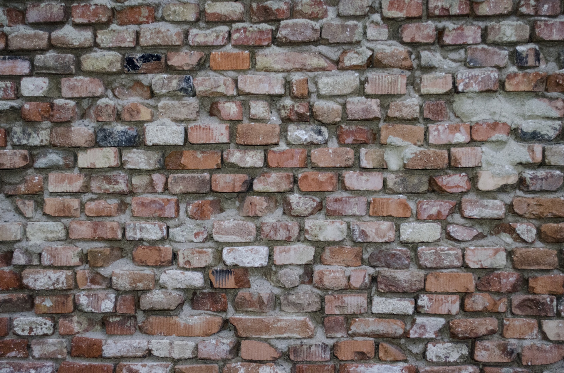 bricks wall backgrounds free photo