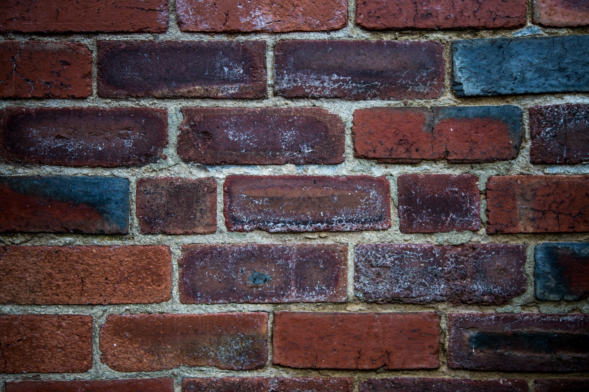 bricks wall backgrounds free photo