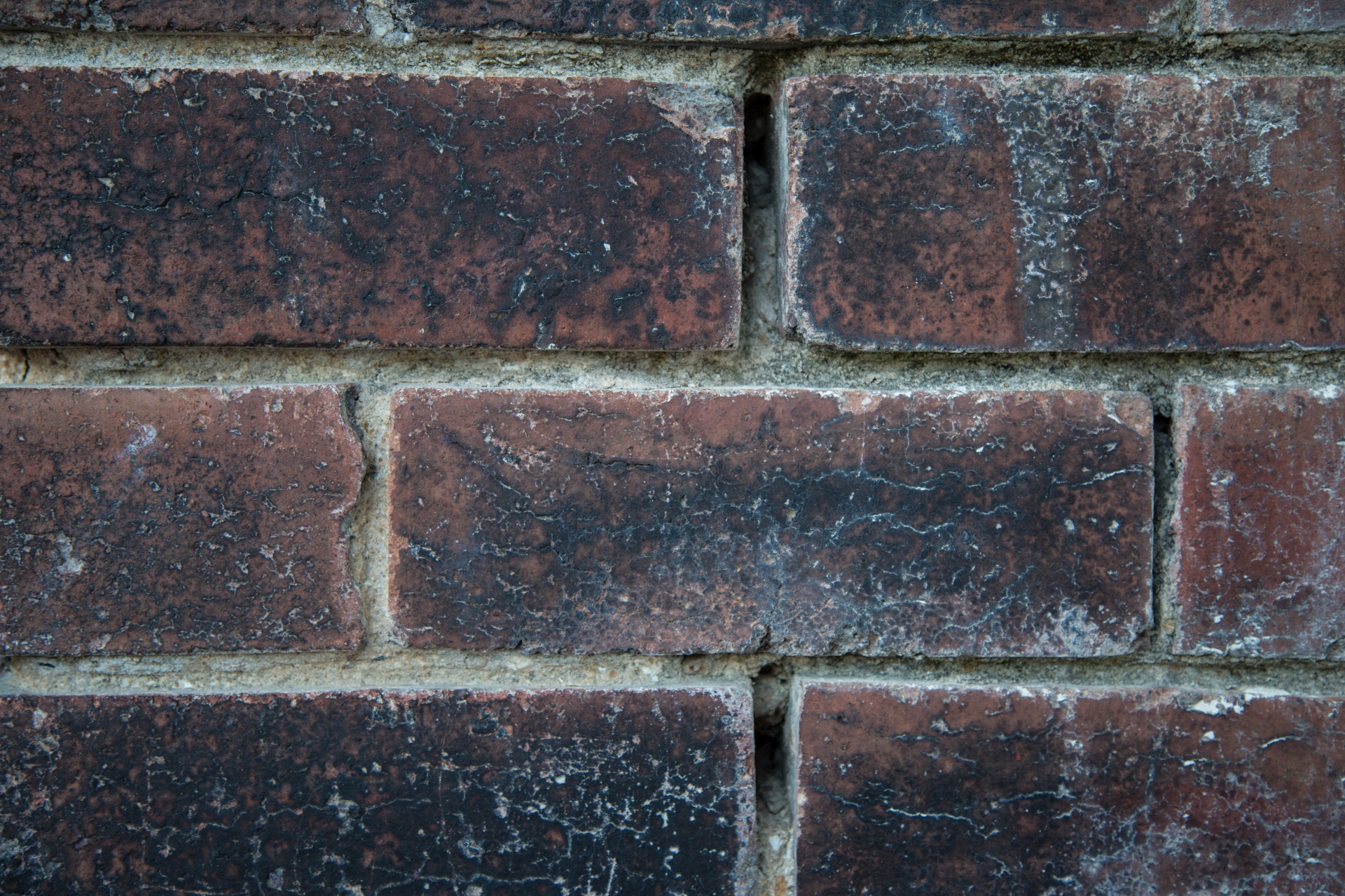 bricks wall backgrounds free photo