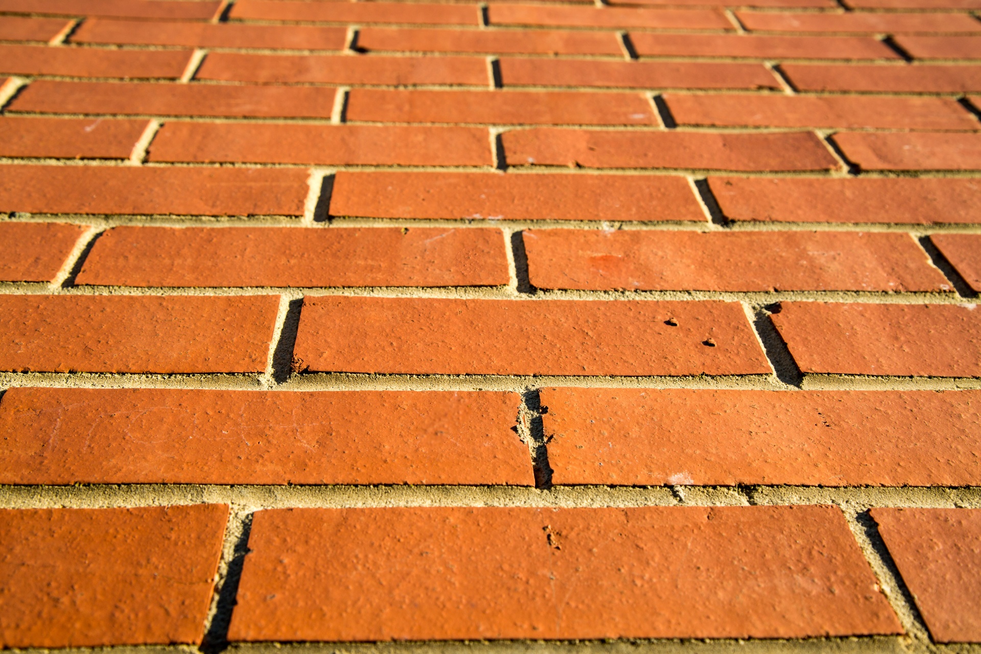 bricks wall backgrounds free photo