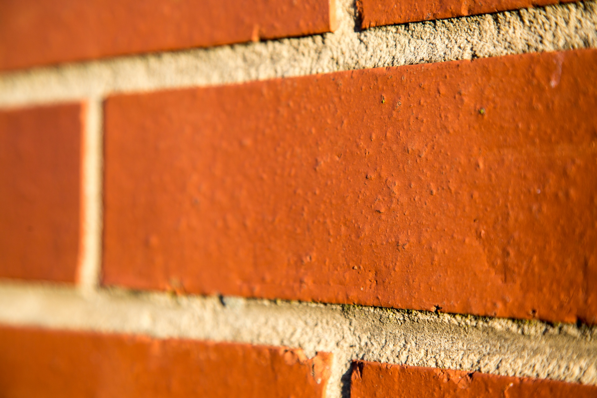 bricks wall backgrounds free photo