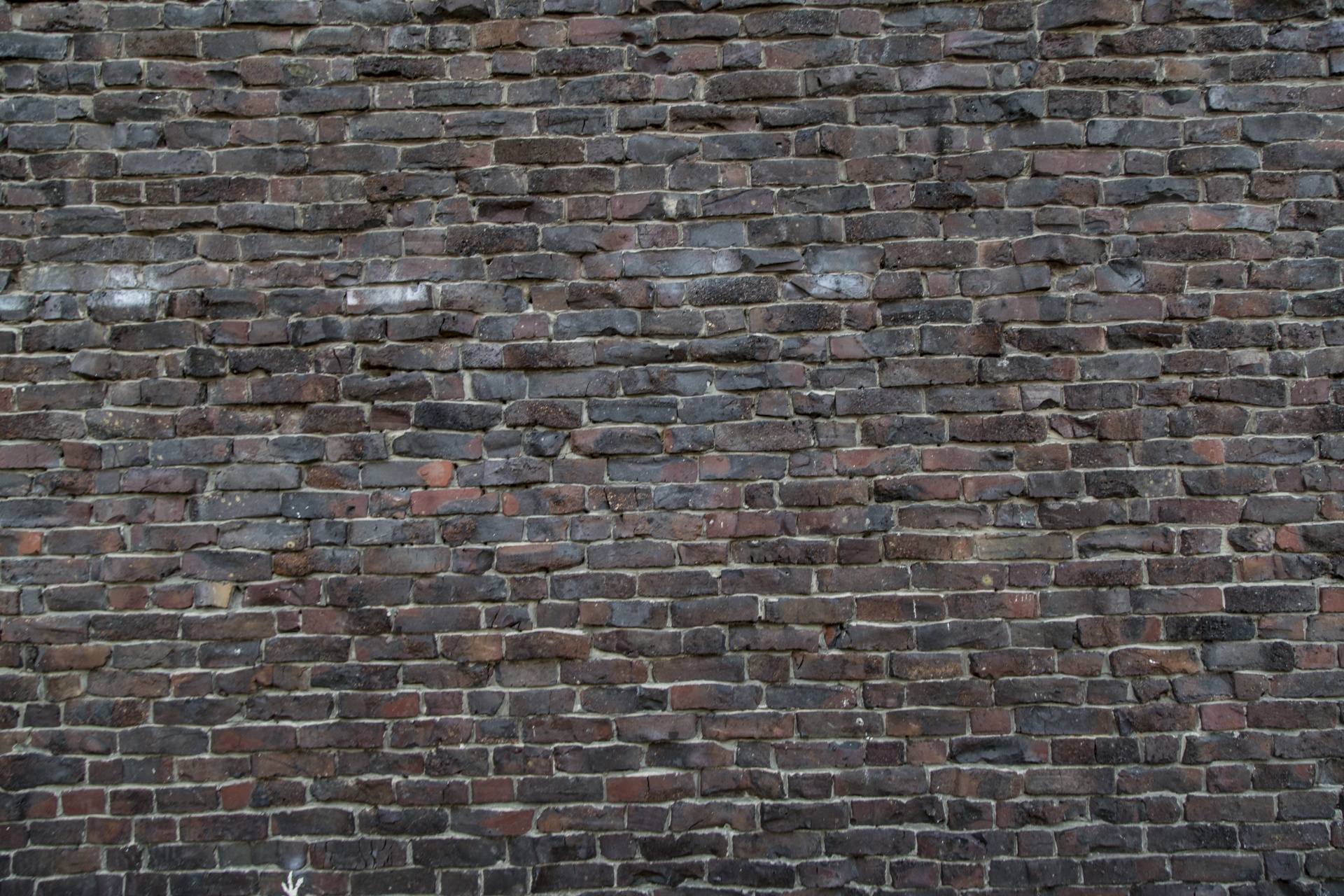 bricks wall backgrounds free photo