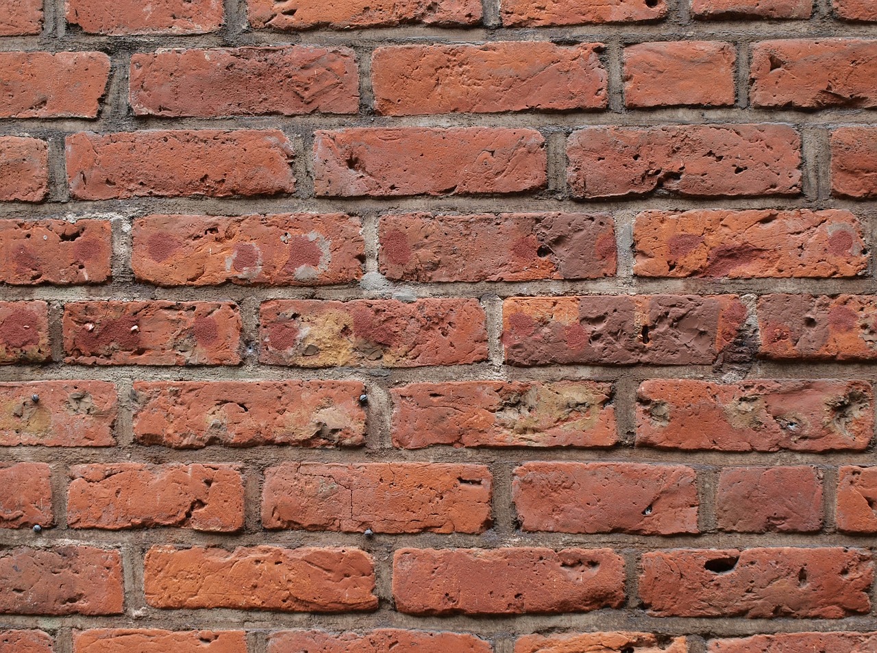 brick wall red bricks free photo