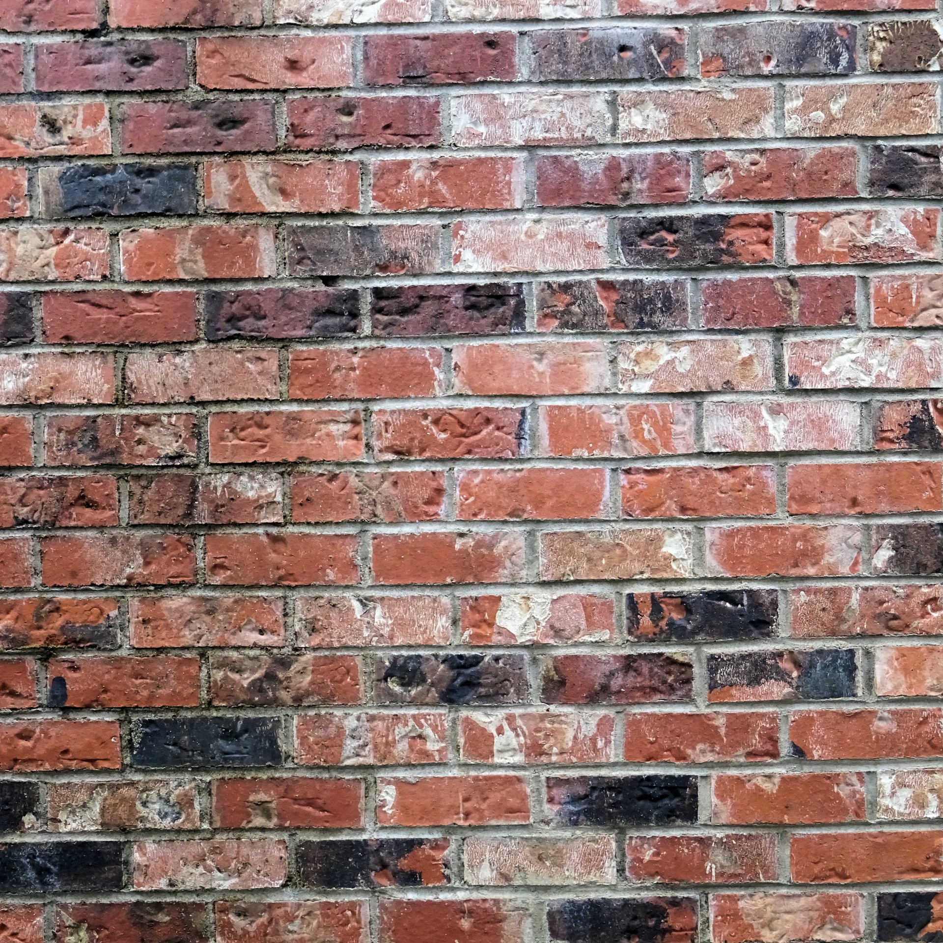 red brick wall free photo
