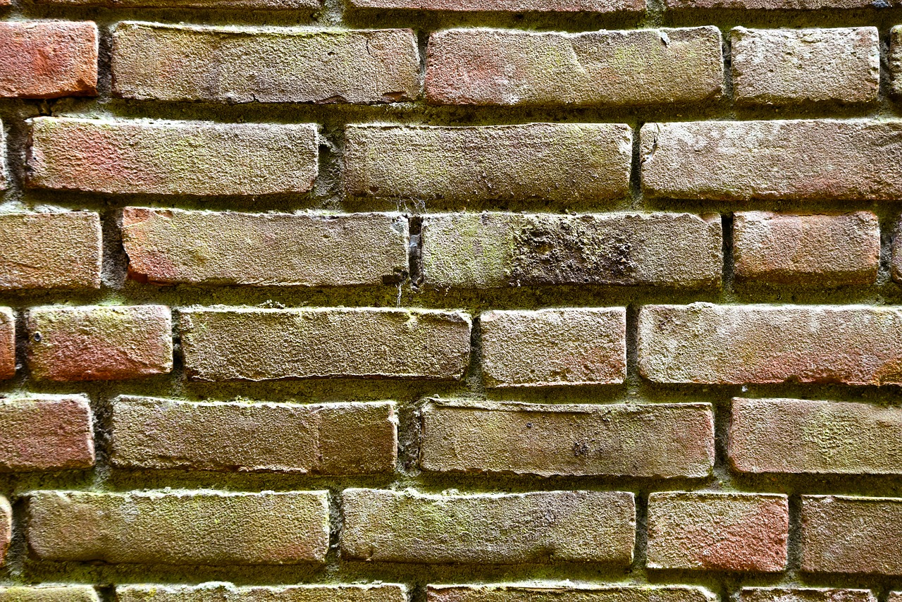 brick wall  yellow brick  seam free photo