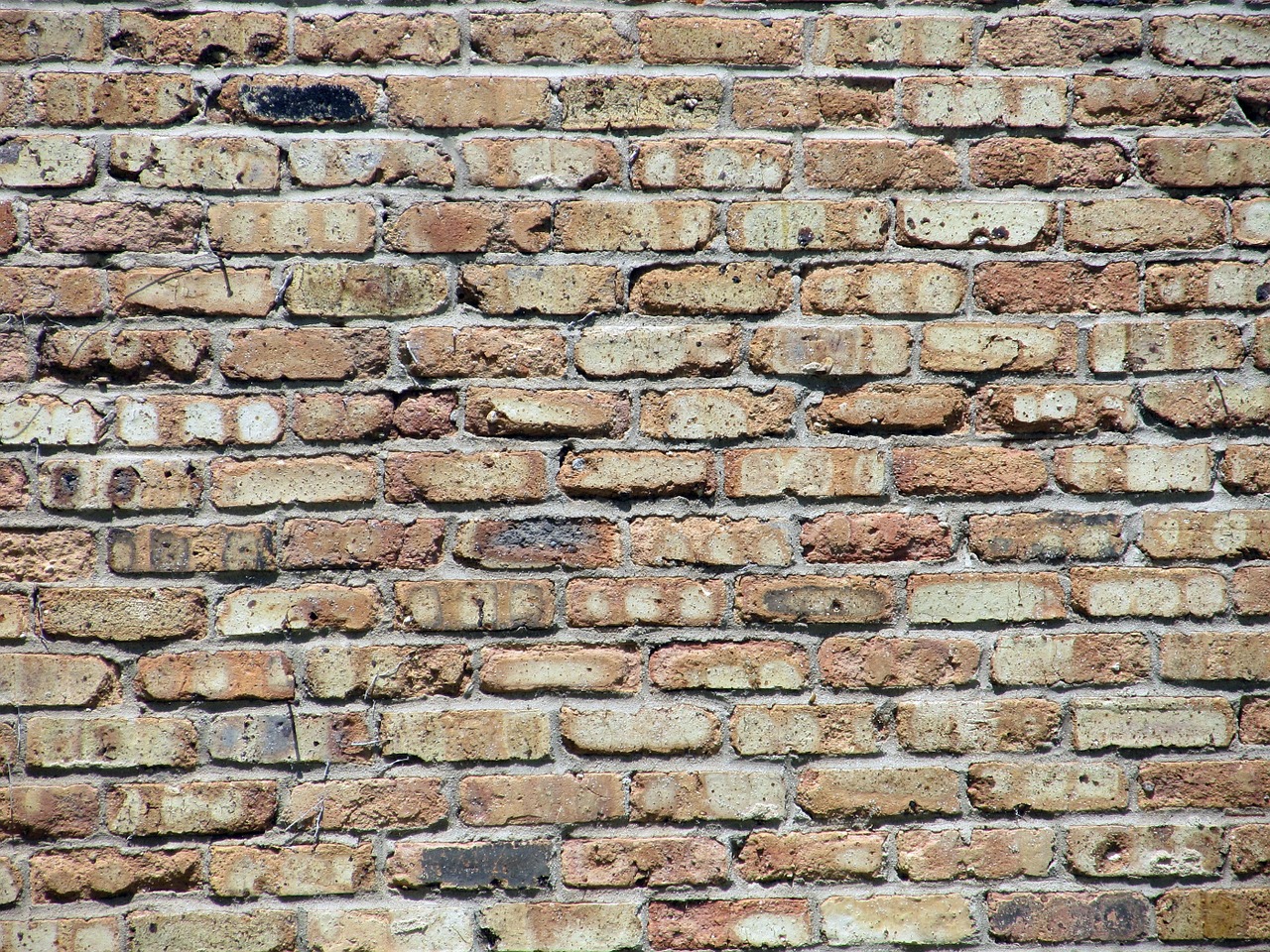 brick wall bricks construction free photo