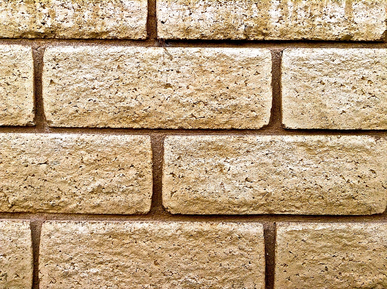 brick wall bricks wall free photo