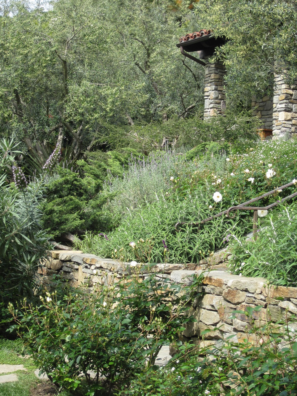 brick wall garden backyard free photo