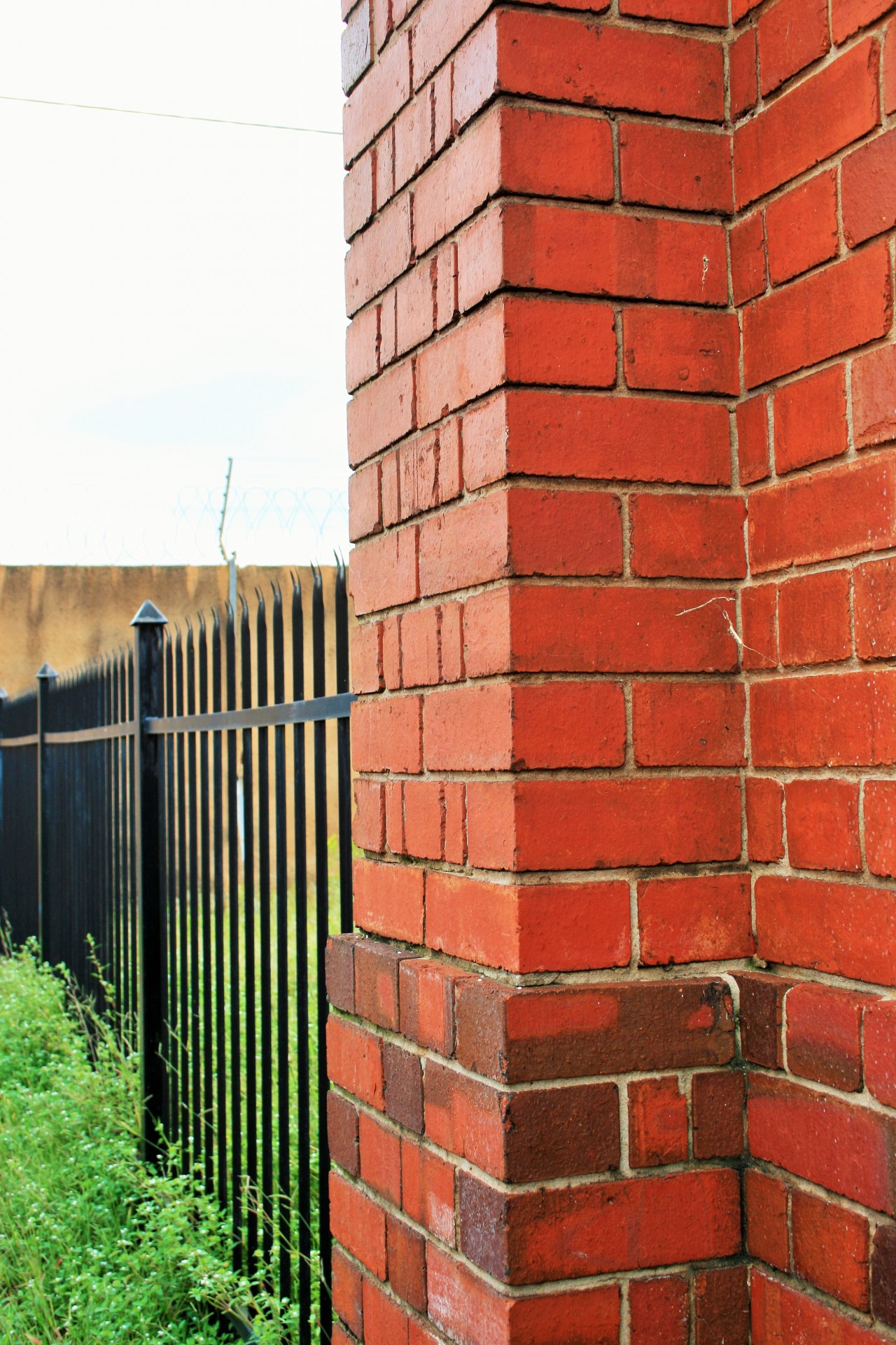 wall brick red free photo