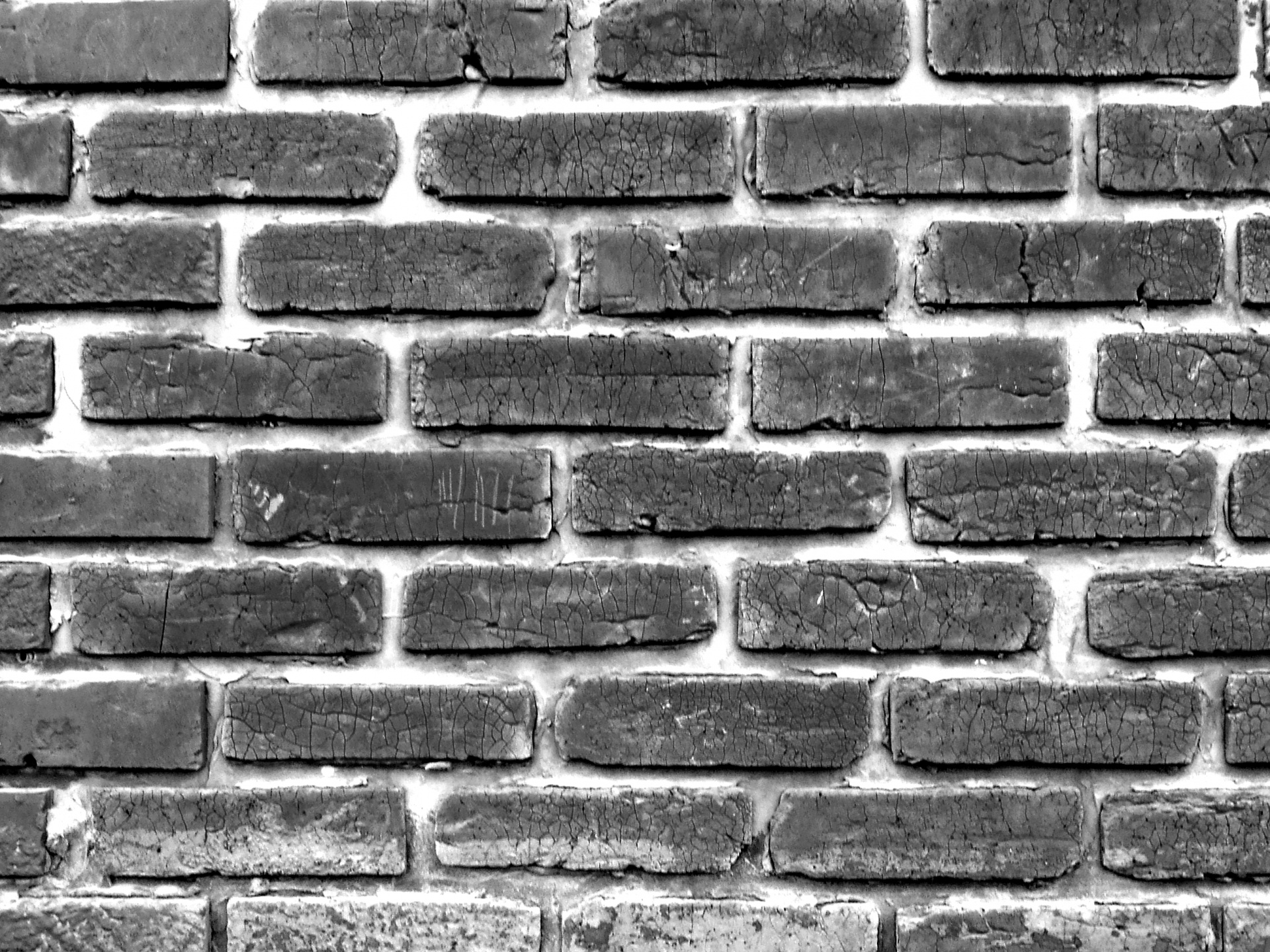 background brick wall wall free photo