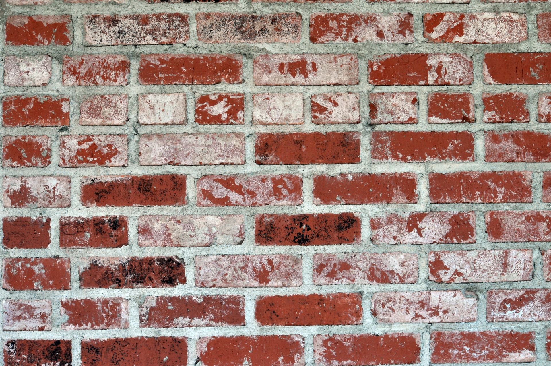 background wallpaper brick wall free photo