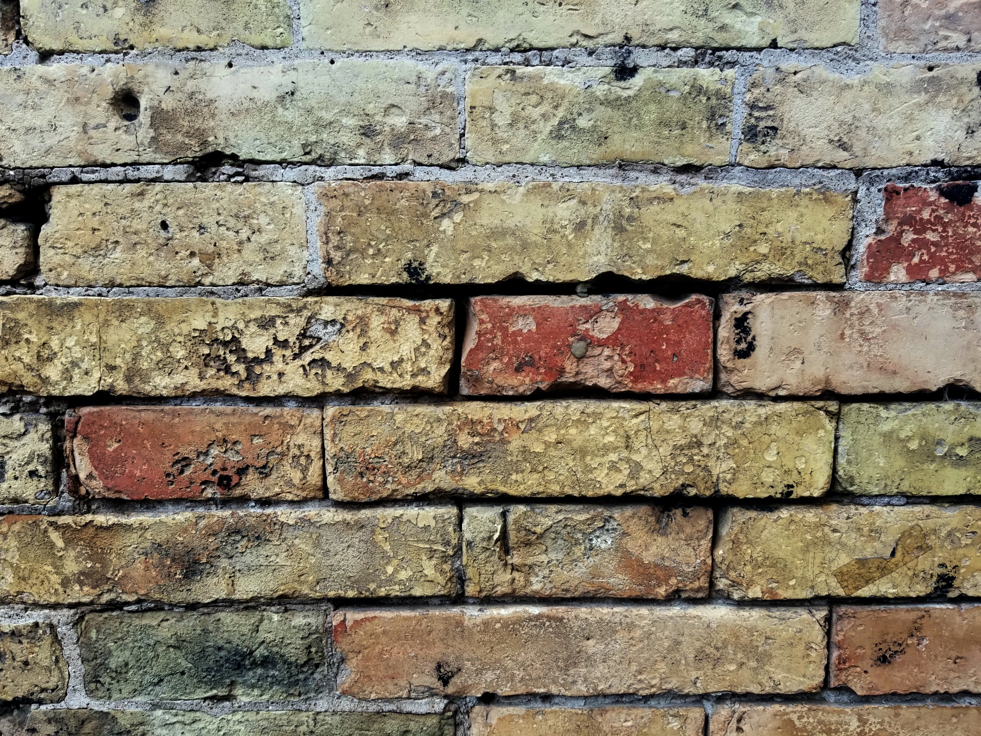 background wallpaper bricks free photo