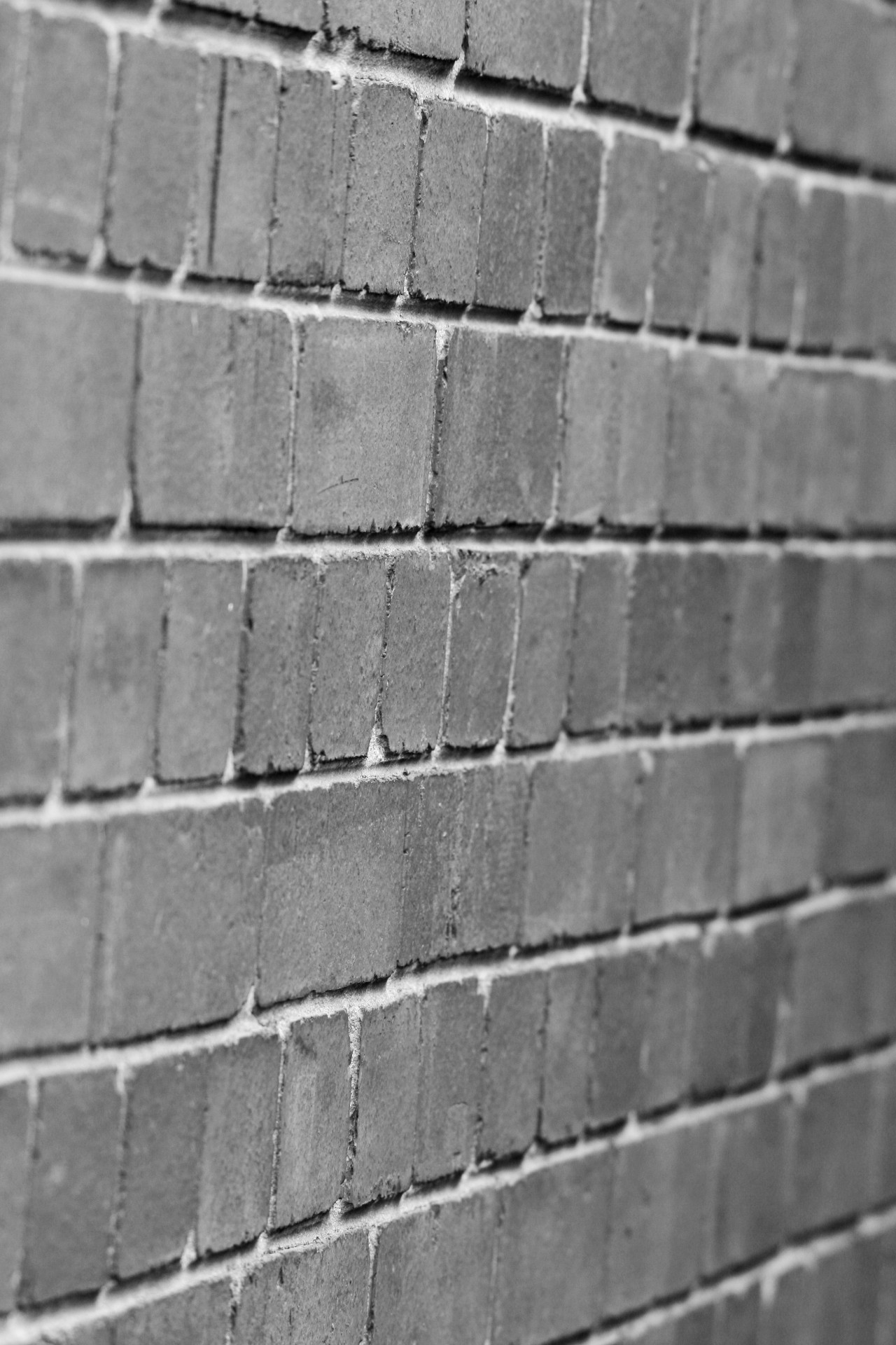 wall brick black & white free photo