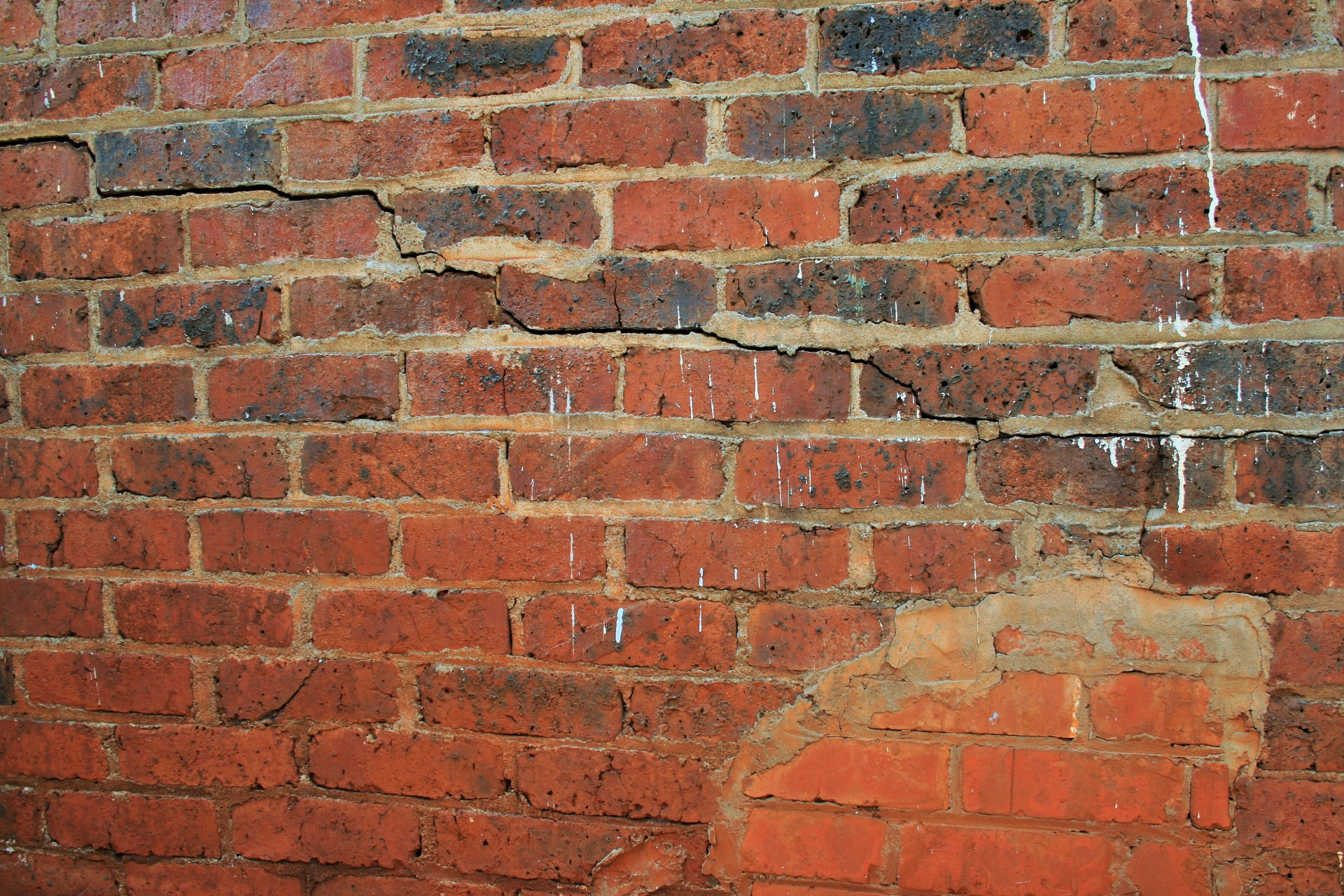 wall brick red free photo